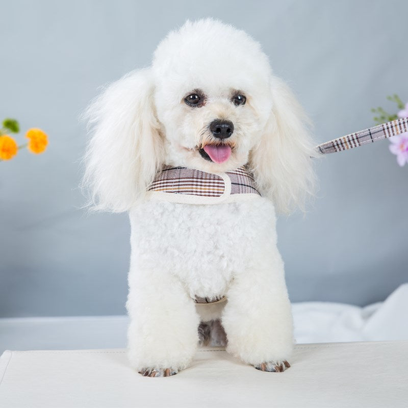 Dog Plaid Puppy Clothes with Leash