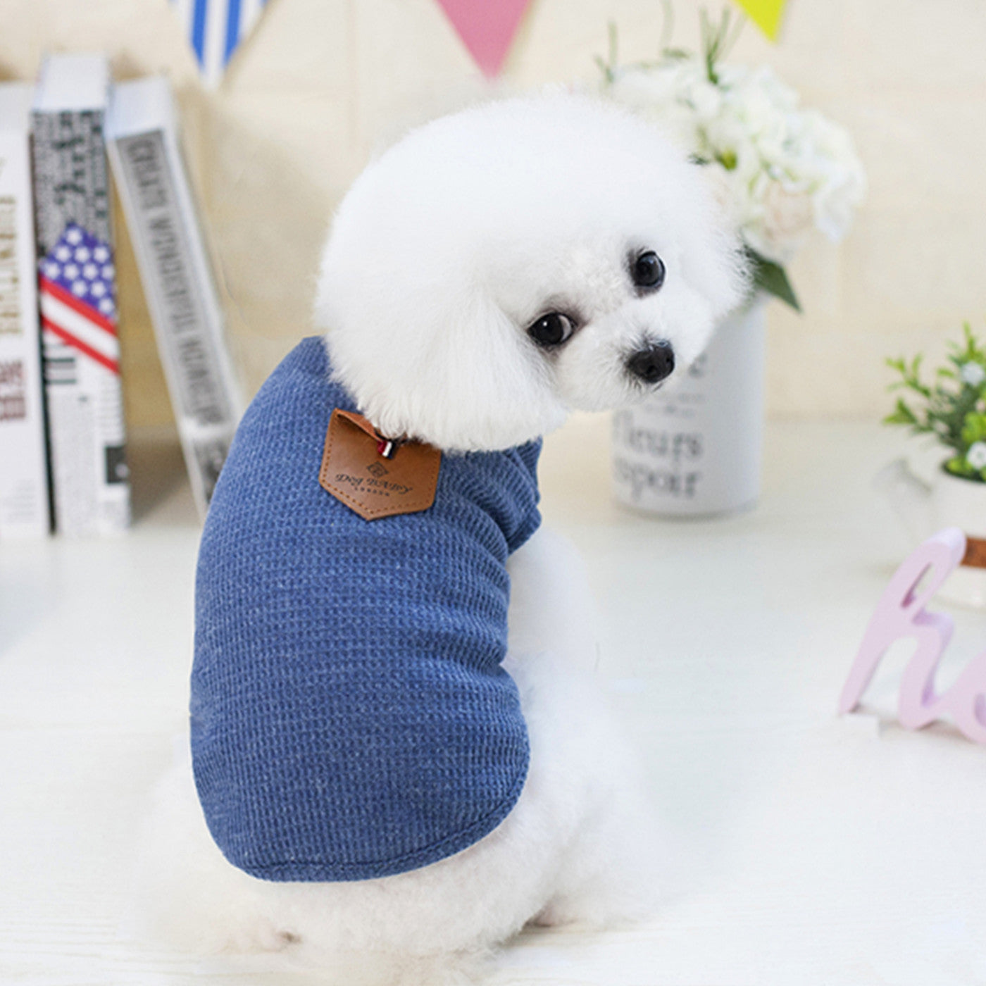 Vest