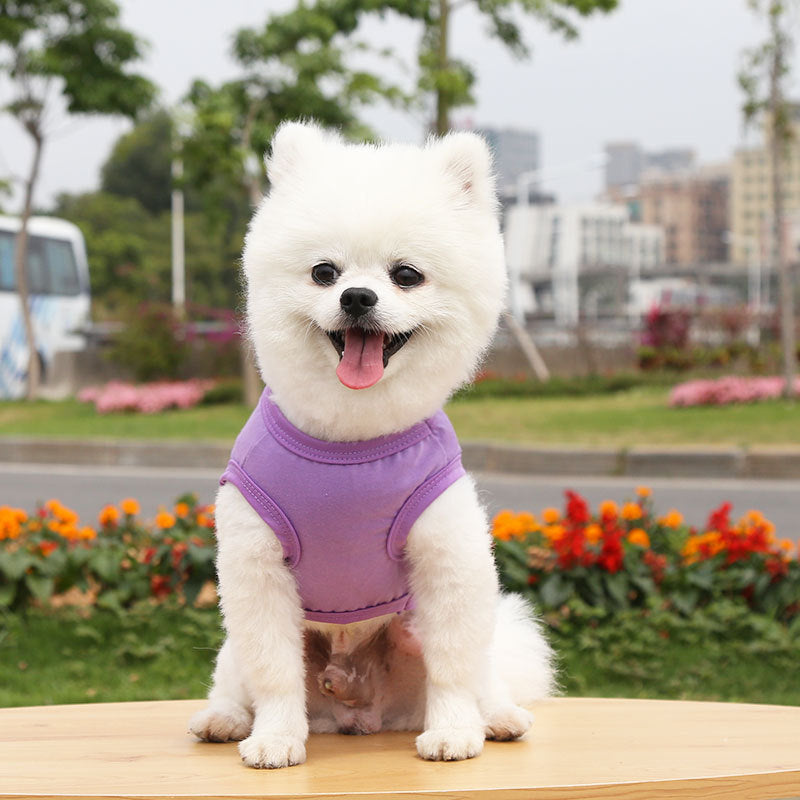 Dogs Pullover 100% Cotton Soft Puppy Cute Blank Clothes