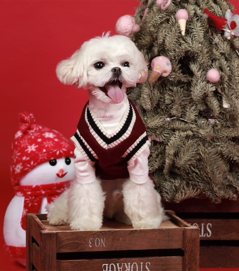 Dog Clothes Pet School Vest