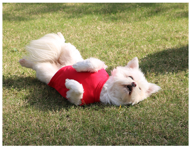 Dog Shirts Pet Clothes Blank Clothing Jerseys