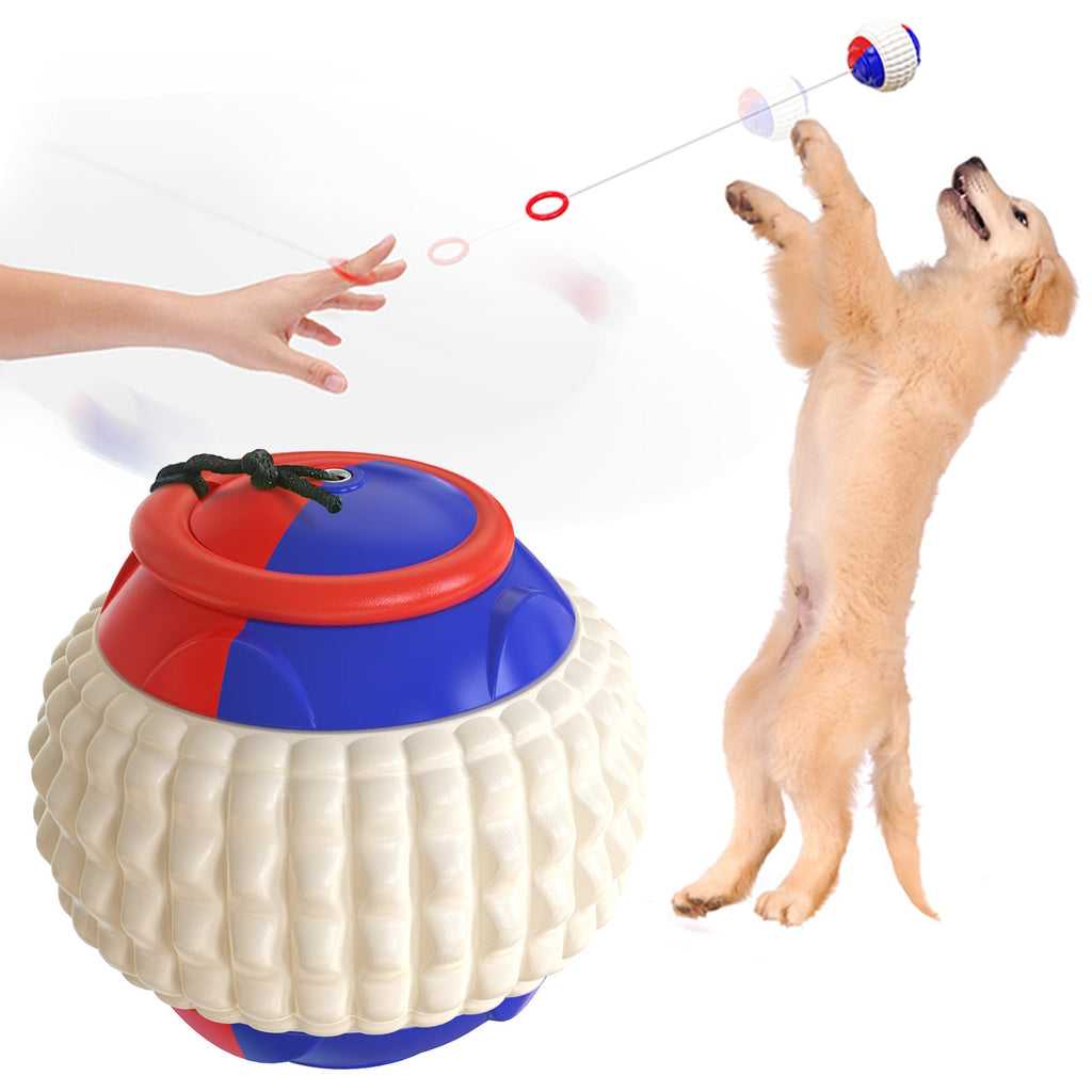 Dog Traning Balls Launcher Toy