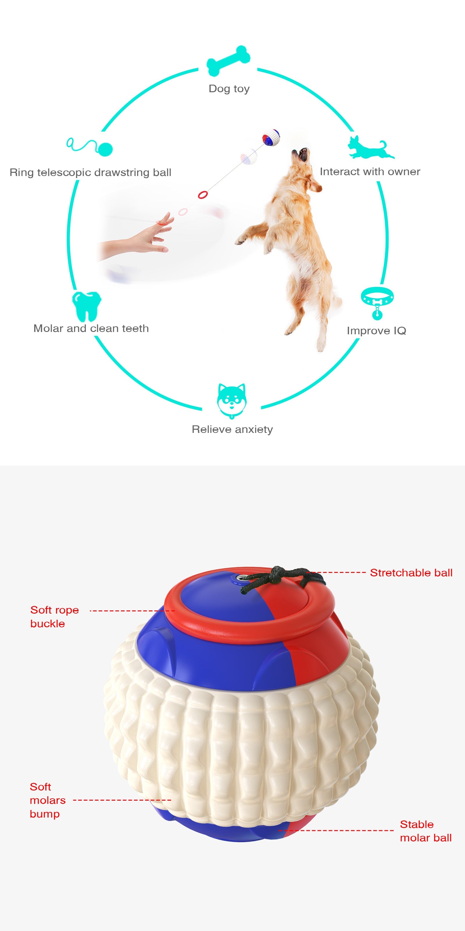Dog Traning Balls Launcher Toy