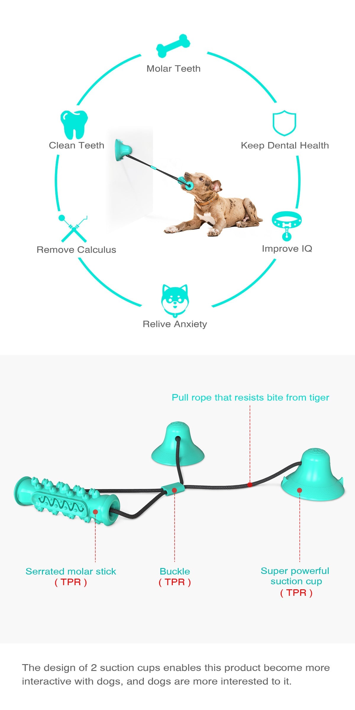 Dog Suction Cup Rope Toy Pet Molar