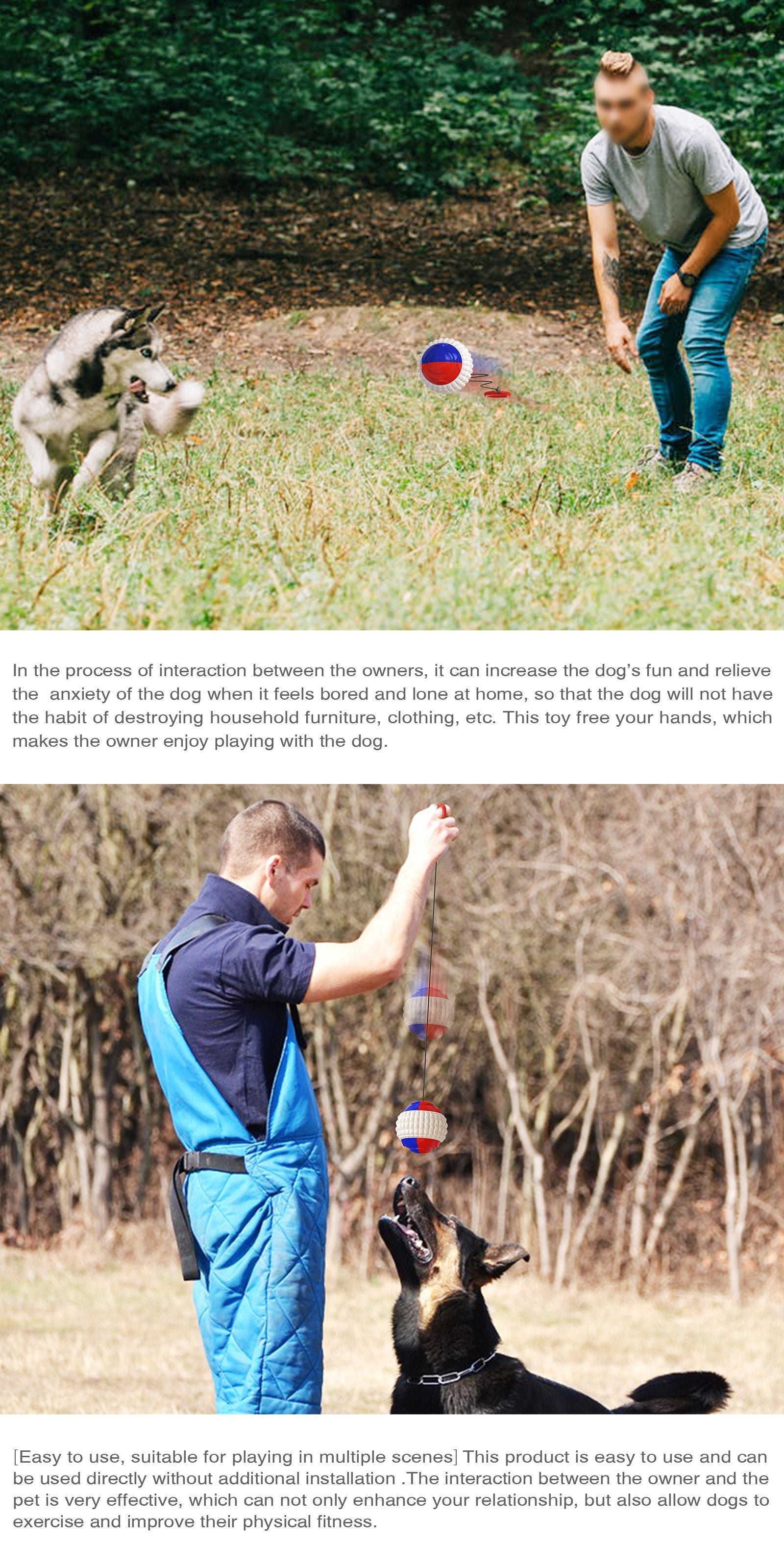 Dog Traning Balls Launcher Toy