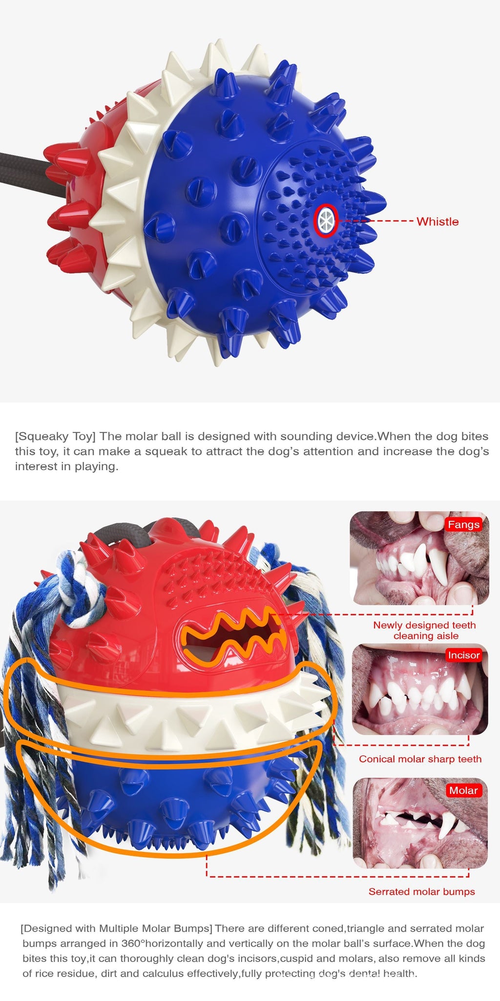 Double Suction Cup Dog Pet Tug Rope Toy