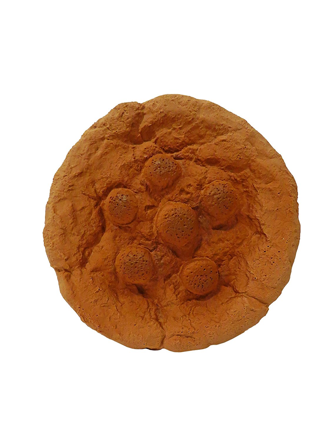 Stuffed Latex Totally Soft Cookie | 7 Inch by Scoochie