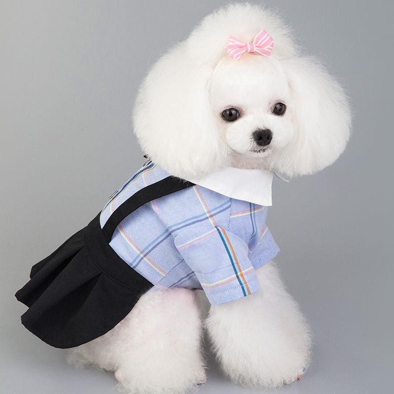Small Dog Apparel with 4 Legs for Wedding