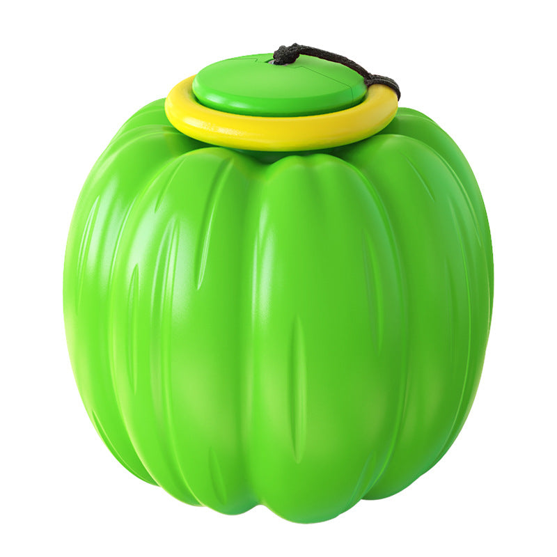 Dog Traning Balls Launcher Toy